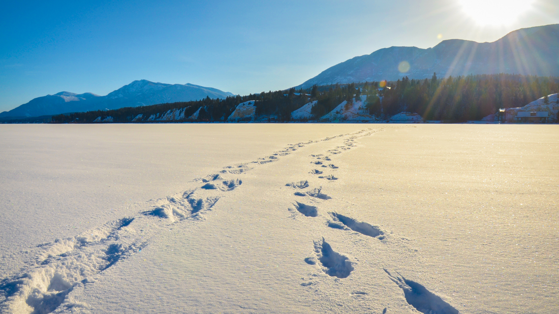 Leaving a Positive Footprint :-  Small Steps, Big Impact.