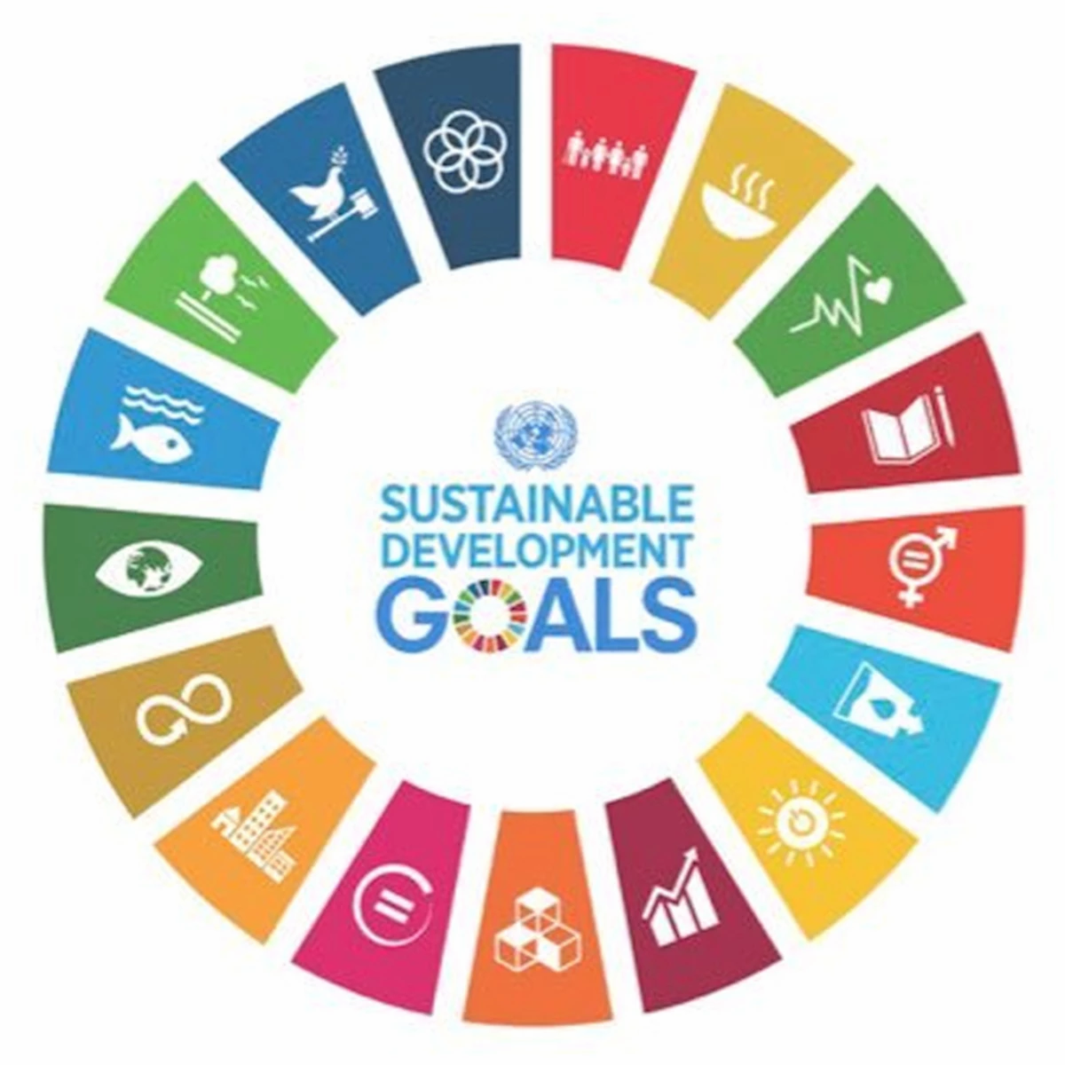 "SDG Goals and Bunkojunko: Working Towards a Sustainable Future"